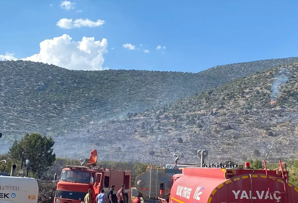 Isparta\'da çıkan orman yangını kontrol altına alındı