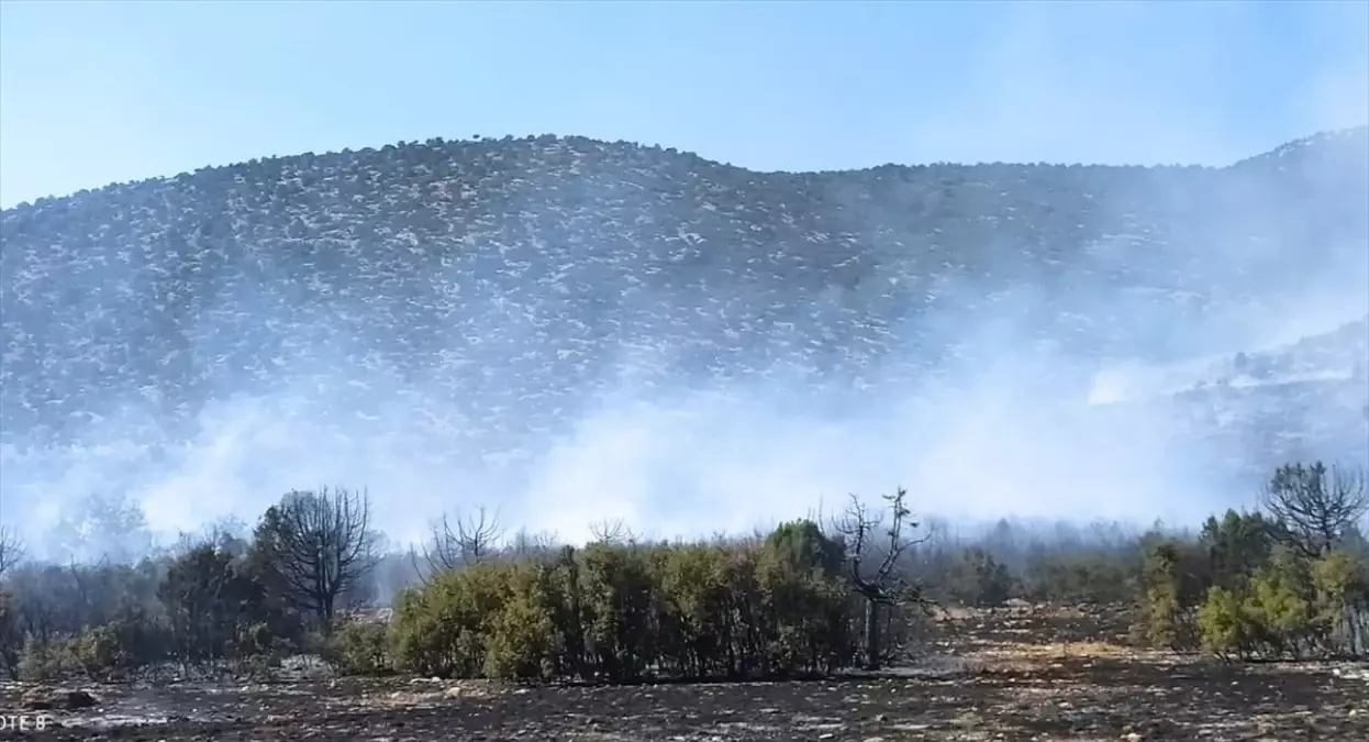 Isparta\'da Orman Yangınına Müdahale Ediliyor