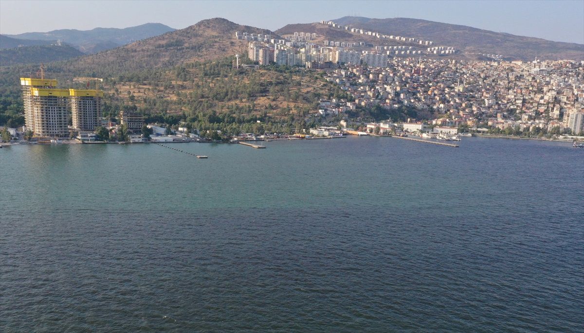 İzmir Körfezi\'ndeki Balık Ölümleri Plankton Artışından Kaynaklanıyor