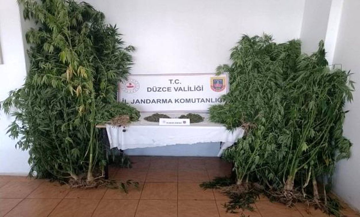 Düzce\'de 1.149 Gram Uyuşturucu Ele Geçirildi