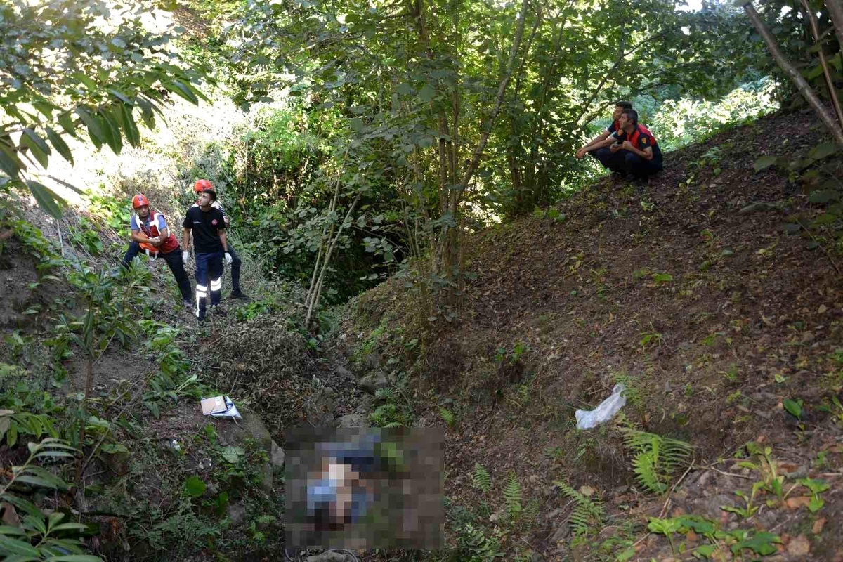 Ünye\'de incir toplarken ağaçtan düşen yaşlı adam hayatını kaybetti