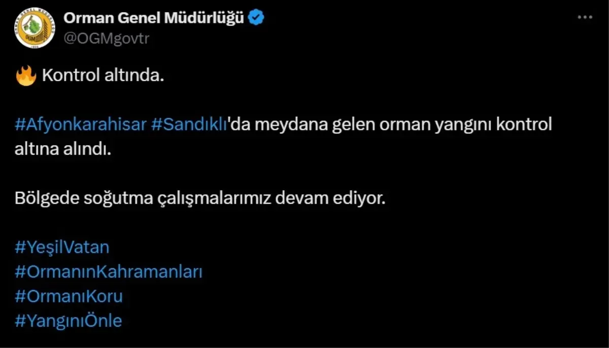 Afyonkarahisar Sandıklı\'da çıkan orman yangını kontrol altına alındı