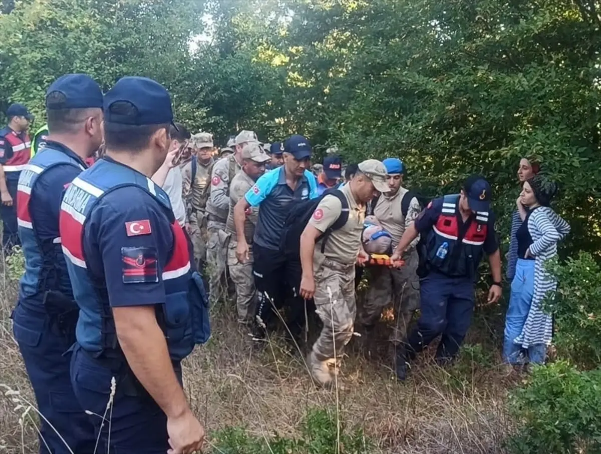 Sinop\'ta Alzheimer hastası yaşlı adam ormanda bulundu