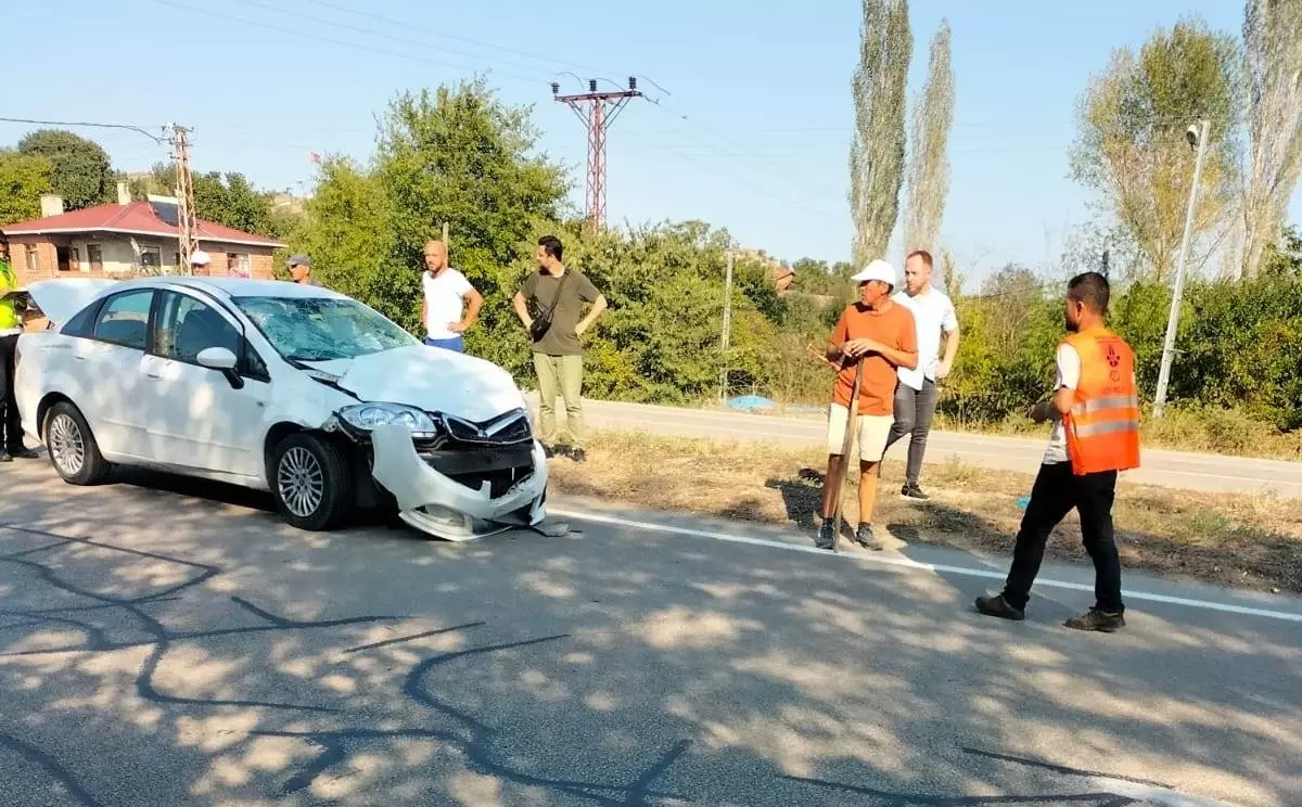 Sinop\'ta İnek Kazası: İki Çocuk Yaralandı