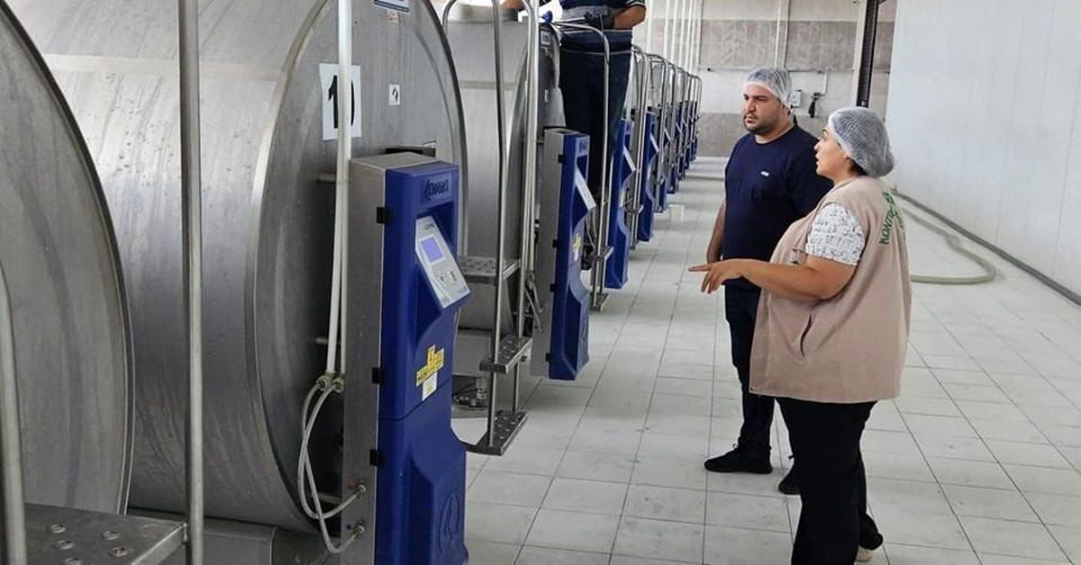 Afyonkarahisar\'da Süt ve Süt Ürünleri İşletmeleri Denetlendi