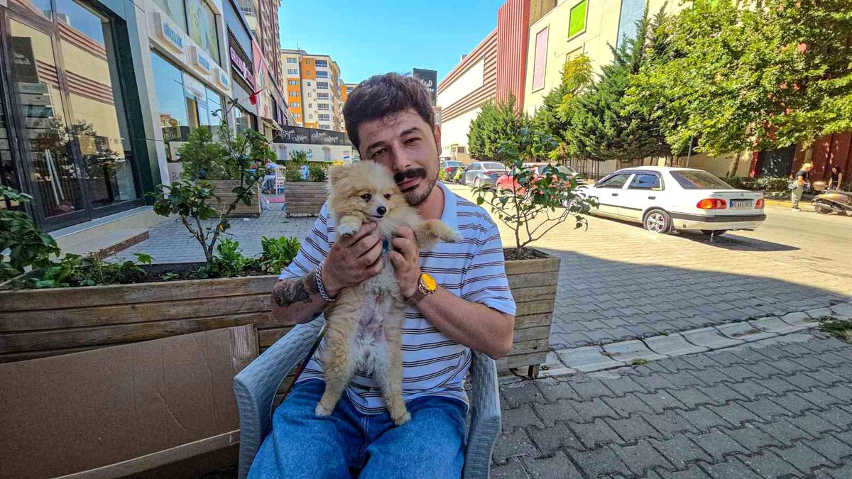 Tokat\'ta Tasmasız ve Ağızlıksız Köpek Dehşet Saçtı