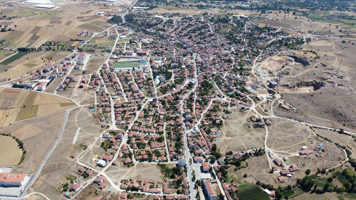 Türkiye\'de Yalnızca Bilecik\'in Pazaryeri İlçesinde Şerbetçi Otu Hasadı Başladı