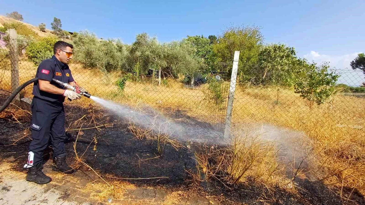 Aydın\'ın Efeler ilçesinde yol kenarında çıkan yangın hızlı müdahale ile söndürüldü