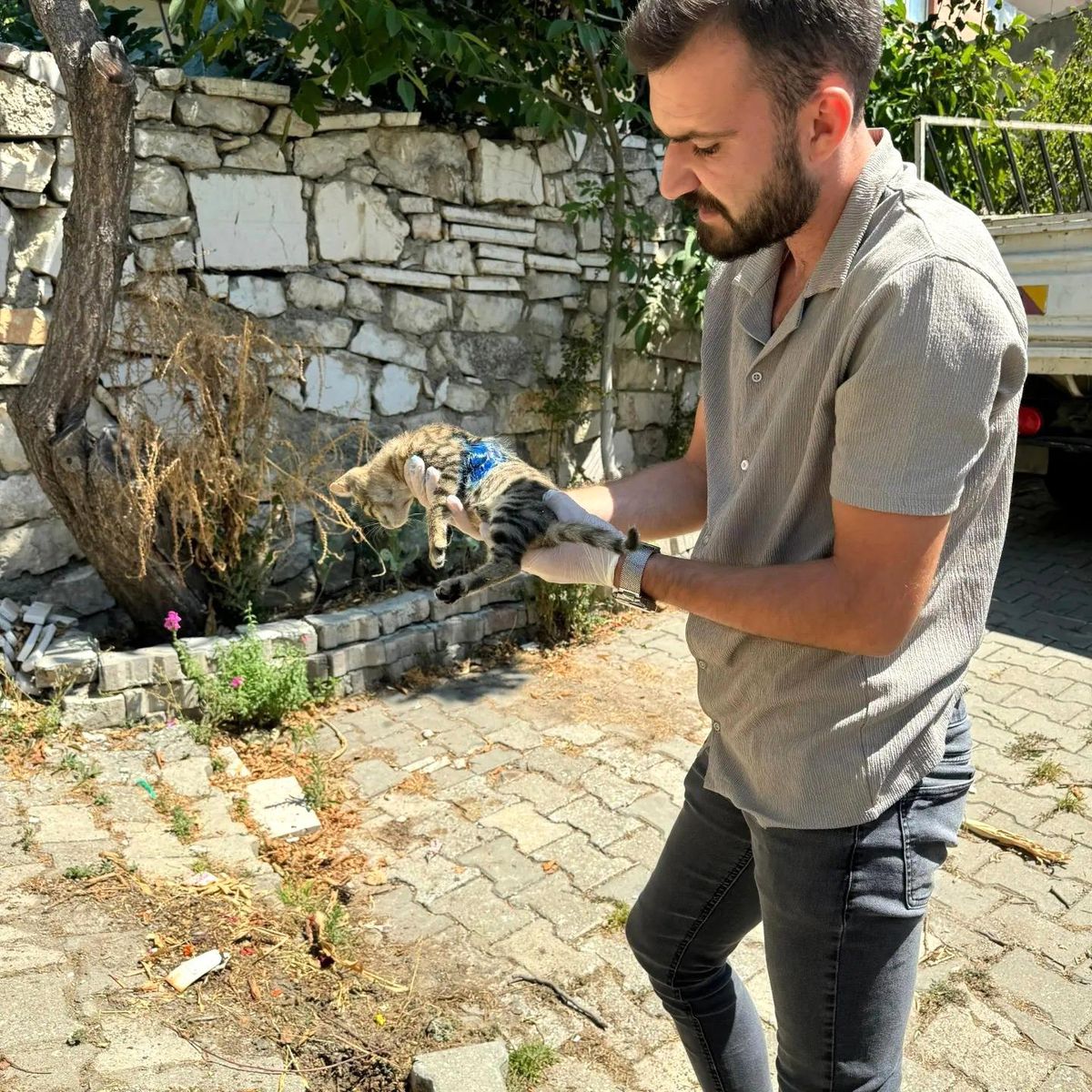 Söğüt Belediyesi Yaralı Yavru Kediye İlk Müdahaleyi Yaptı