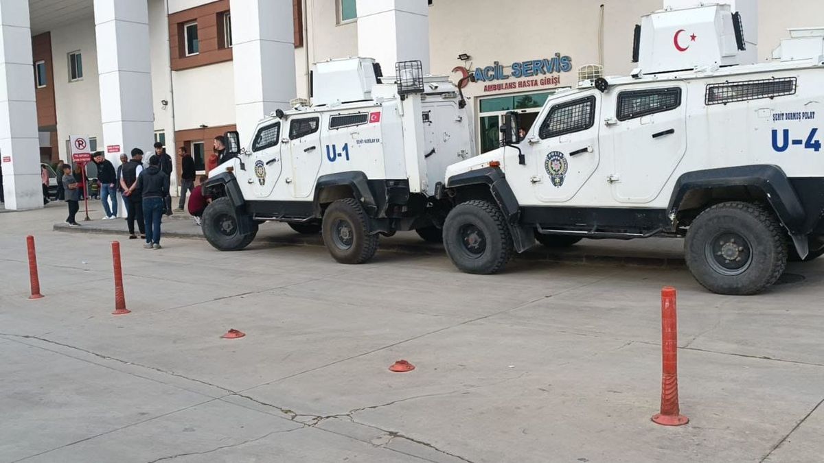 Nusaybin\'de piknikte boğulma tehlikesi geçiren 4 yaşındaki çocuk hastaneye kaldırıldı