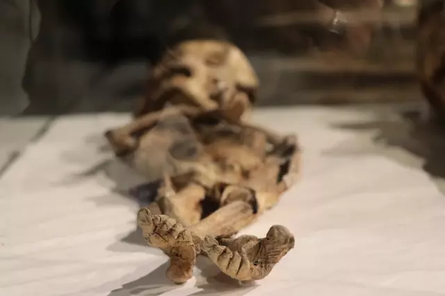 Duyan görmeye geliyor! Kayseri'de sergilenen 2 çocuk mumyasıyla ilgili tüyler ürperten detay