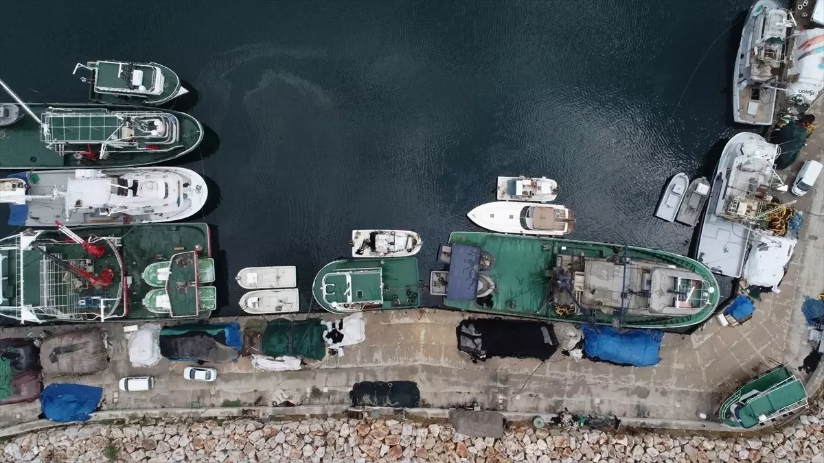 Çanakkale\'de Balıkçılar Yeni Sezonda Palamut ve Lüferde Bolluk Bekliyor