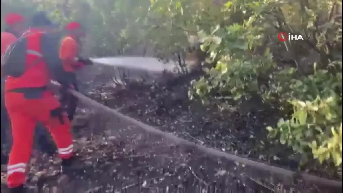 Bingöl\'de iki bölgede çıkan orman yangını söndürüldü