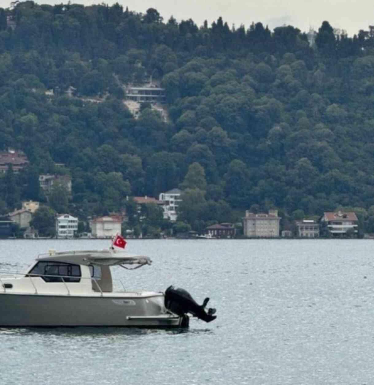 Boğaz'da bu inşaata kim izin verdi? Birileri Vaniköy sırtlarında ormanı talan ediyor