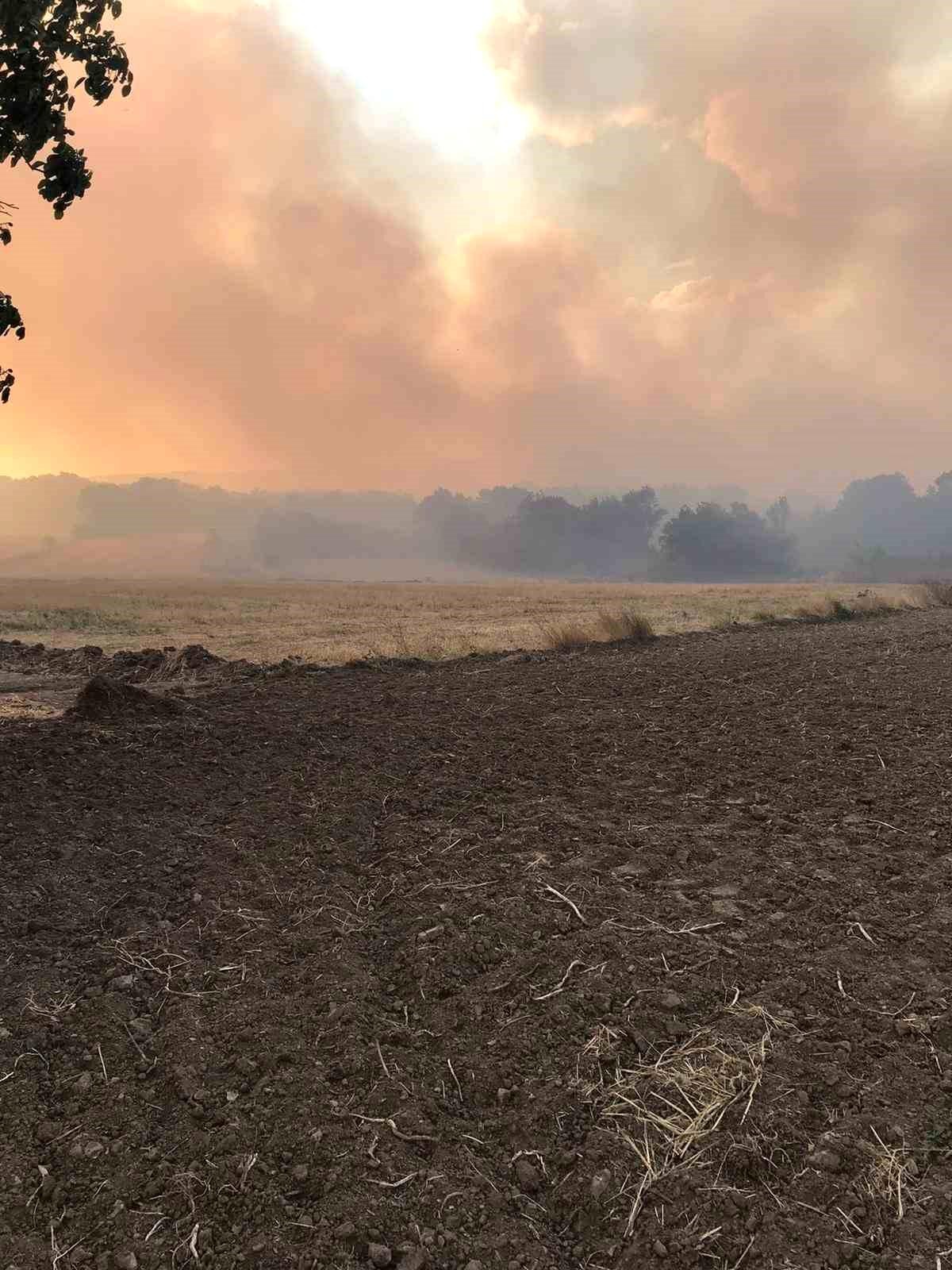 Bulgaristan\'da çıkan orman yangını Edirne sınır köylerine kadar ulaştı