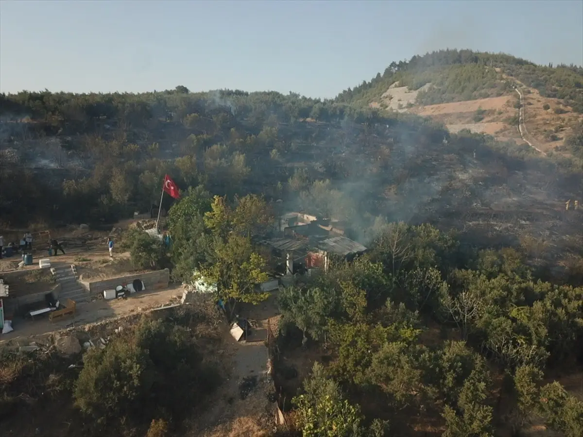 Bursa\'da barakada çıkan yangın zeytin ağaçlarına sıçradı
