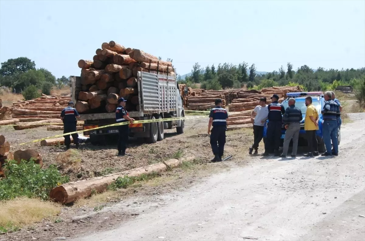 Çanakkale\'de Tomruk Kazası: Kamyon Sürücüsü Hayatını Kaybetti