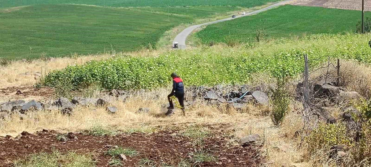 Diyarbakır\'da Kayıp Çocuk Arama Çalışmaları Devam Ediyor