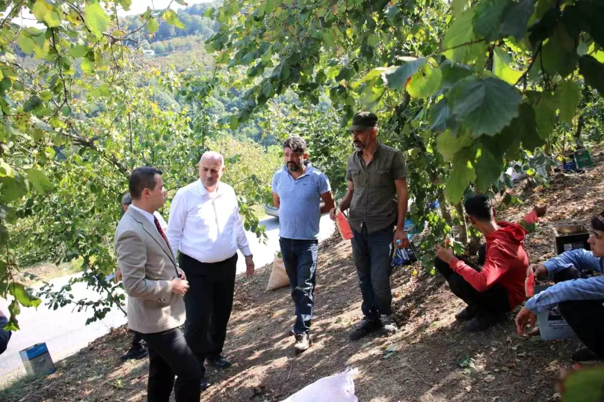 Çilimli Kaymakamı ve Belediye Başkanı Fındık İşçileriyle Buluştu