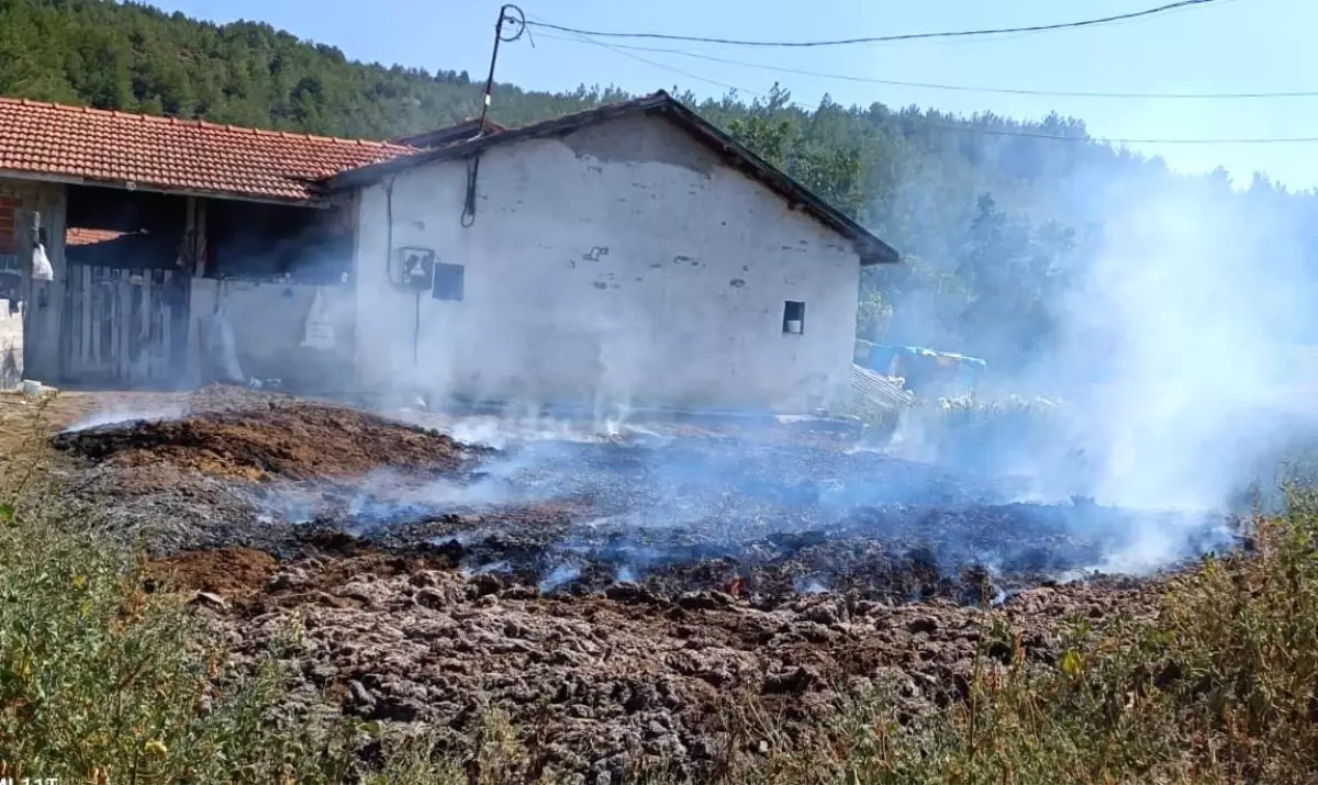 Çorum\'un Osmancık ilçesinde çıkan gübre yangını kontrol altına alındı