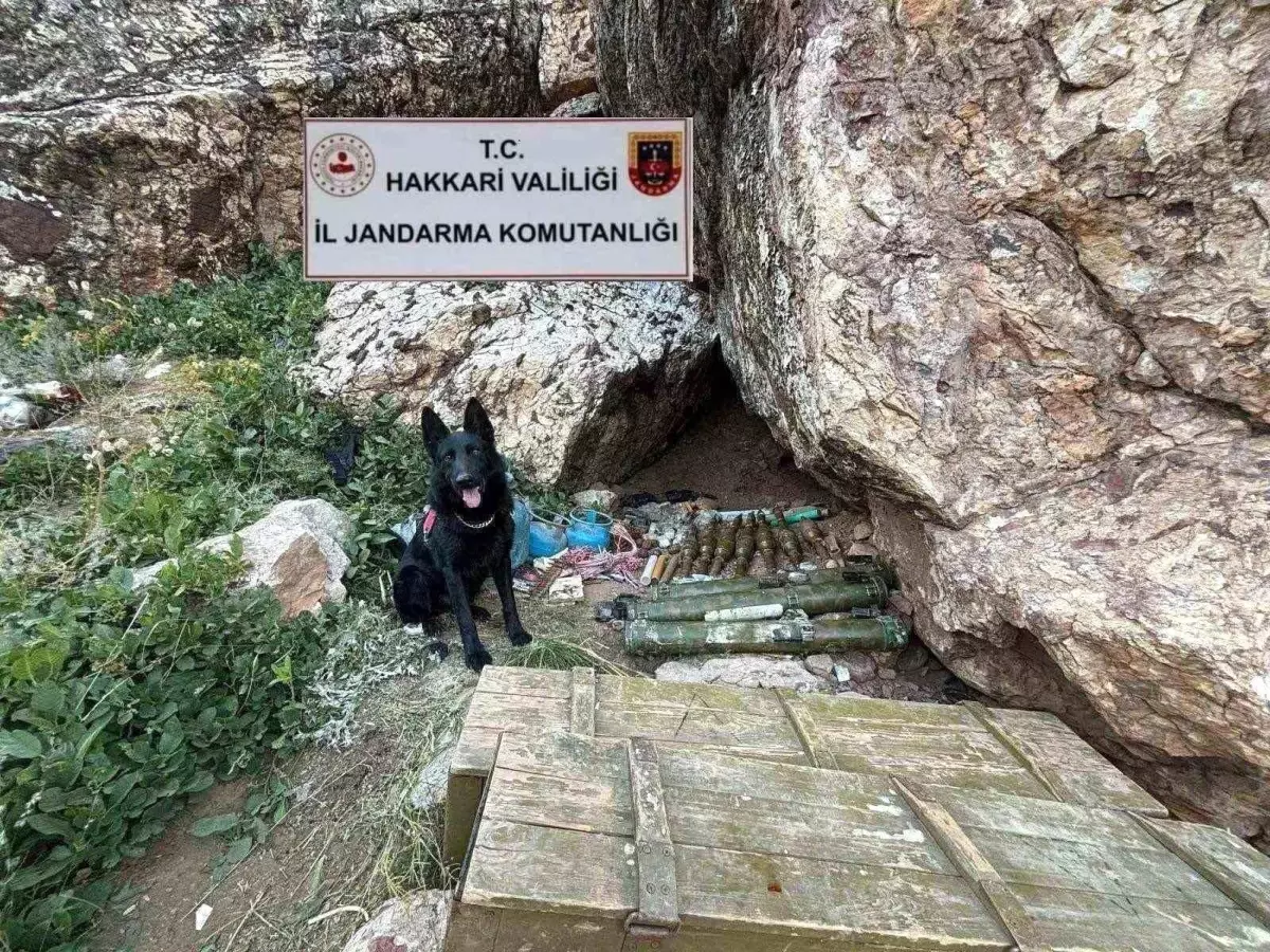 Hakkari\'nin Şemdinli ilçesinde mühimmat ele geçirildi