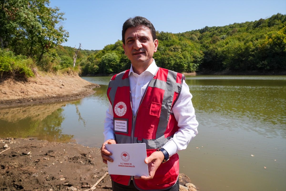 İstanbul İl Tarım ve Orman Müdürlüğü, Su Kaynaklarının Balıklandırılması Projesi kapsamında 30 gölete 1 milyon 681 bin sazan yavrusu bıraktı