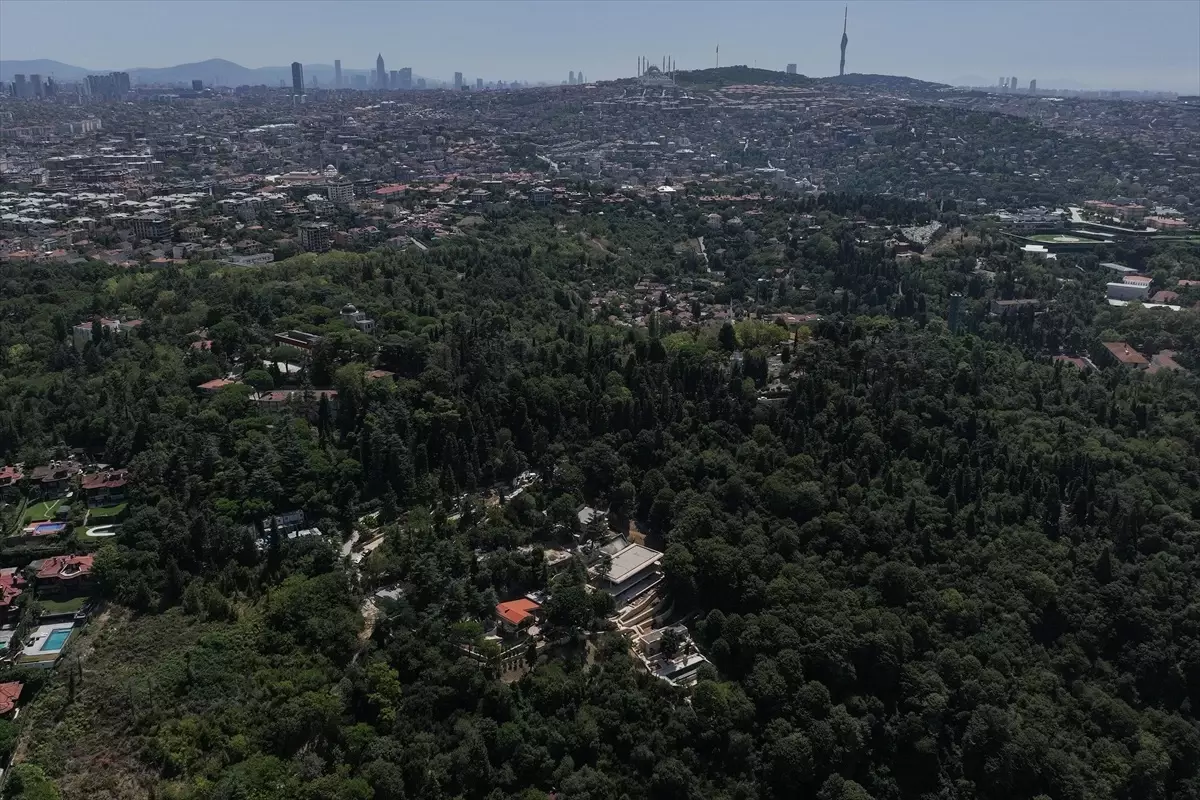 Üsküdar Vaniköy Boğaziçi Öngörünüm Bölgesi\'ndeki İzinsiz İnşaat Durduruldu