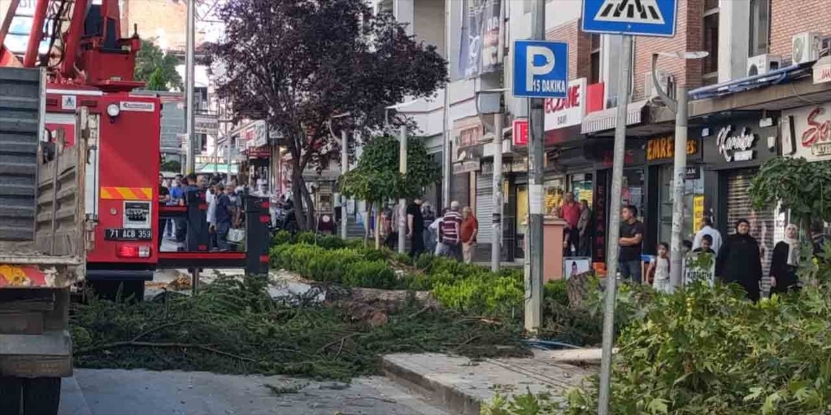 Kırıkkale\'de park halindeki araca ağaç devrildi