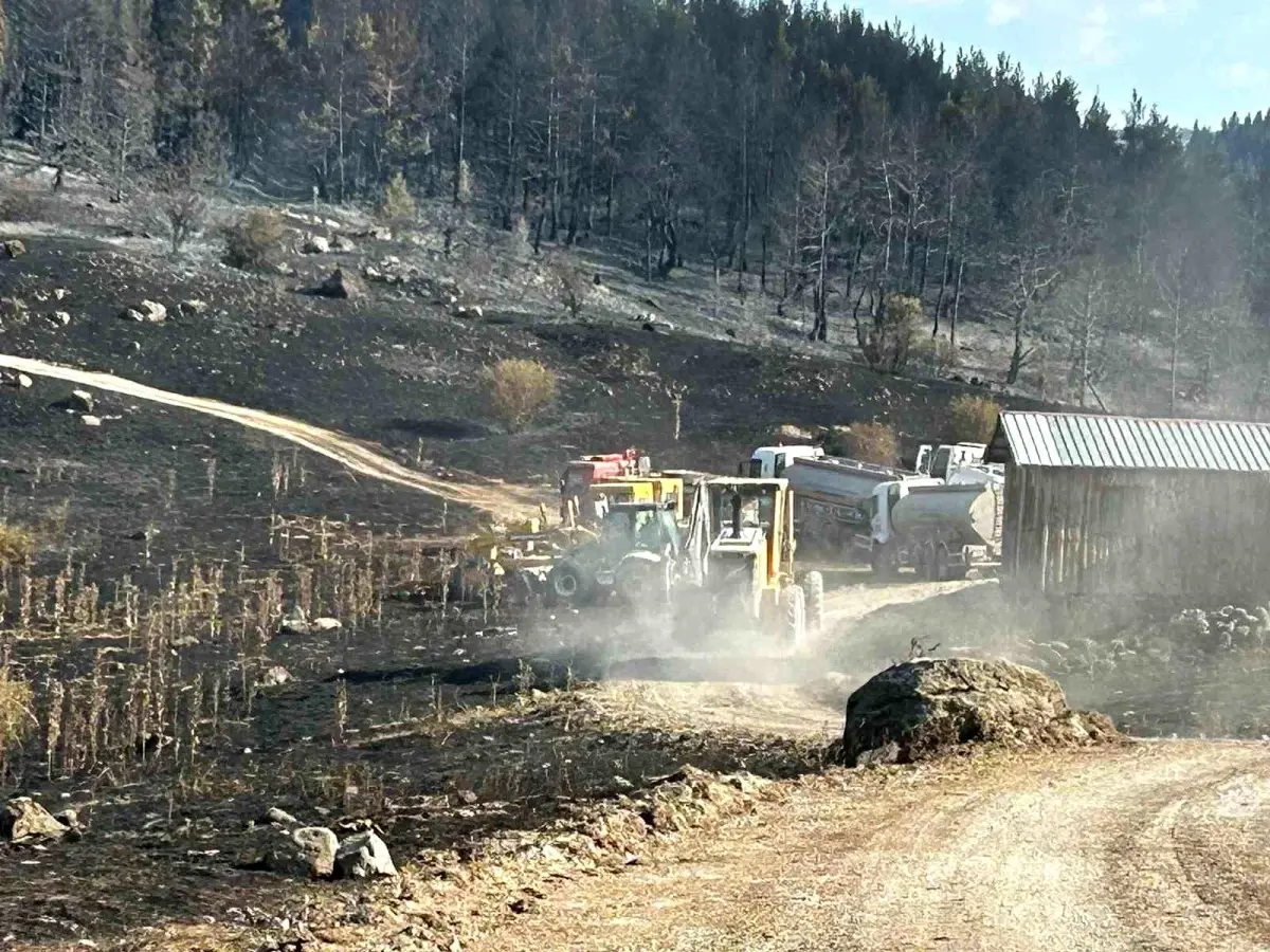 Körfez Belediyesi, yangına müdahale için iş makinelerini bölgeye gönderdi