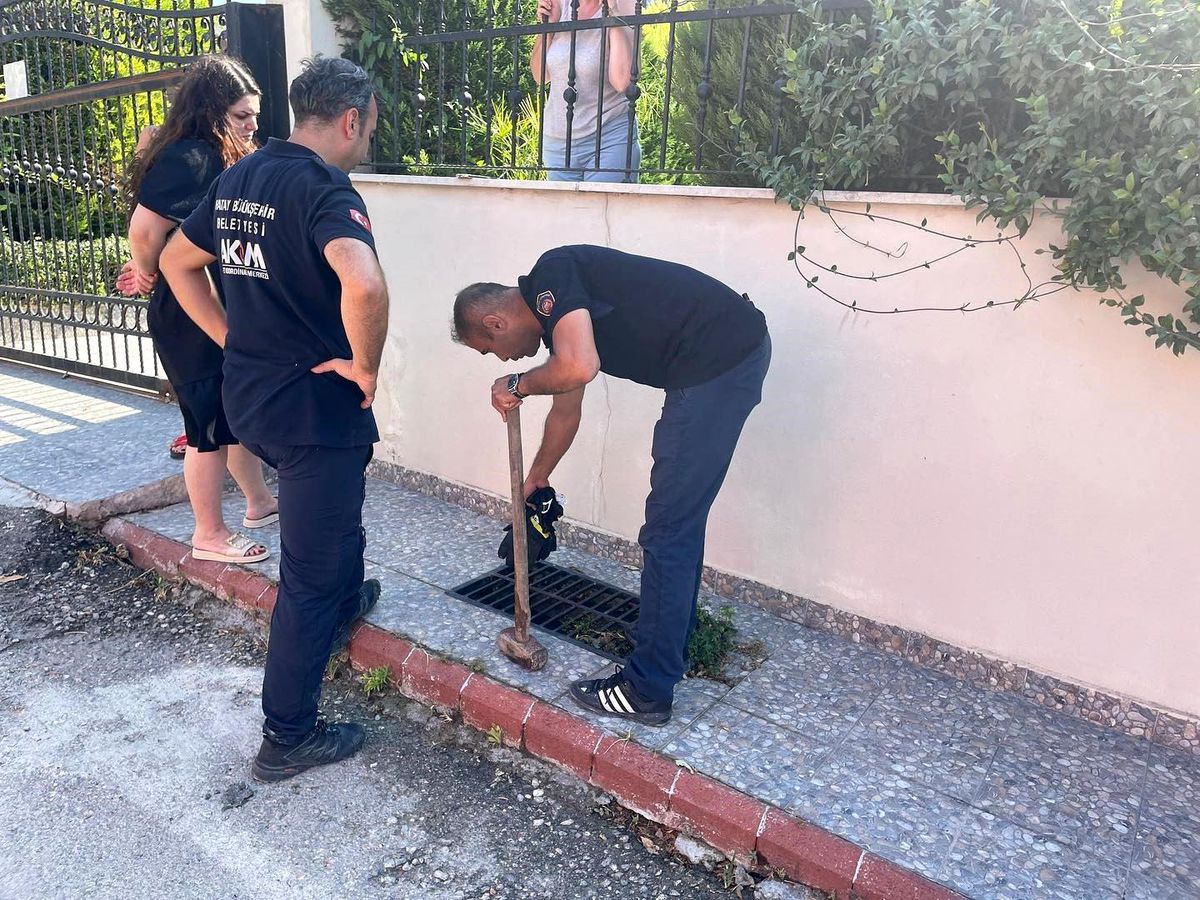 Hatay\'da Mahsur Kalan Köpek İtfaiye Tarafından Kurtarıldı