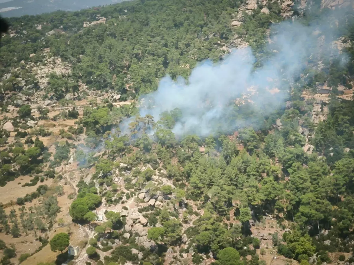 Muğla\'da Orman Yangını: Ekipler Alevlere Müdahale Ediyor