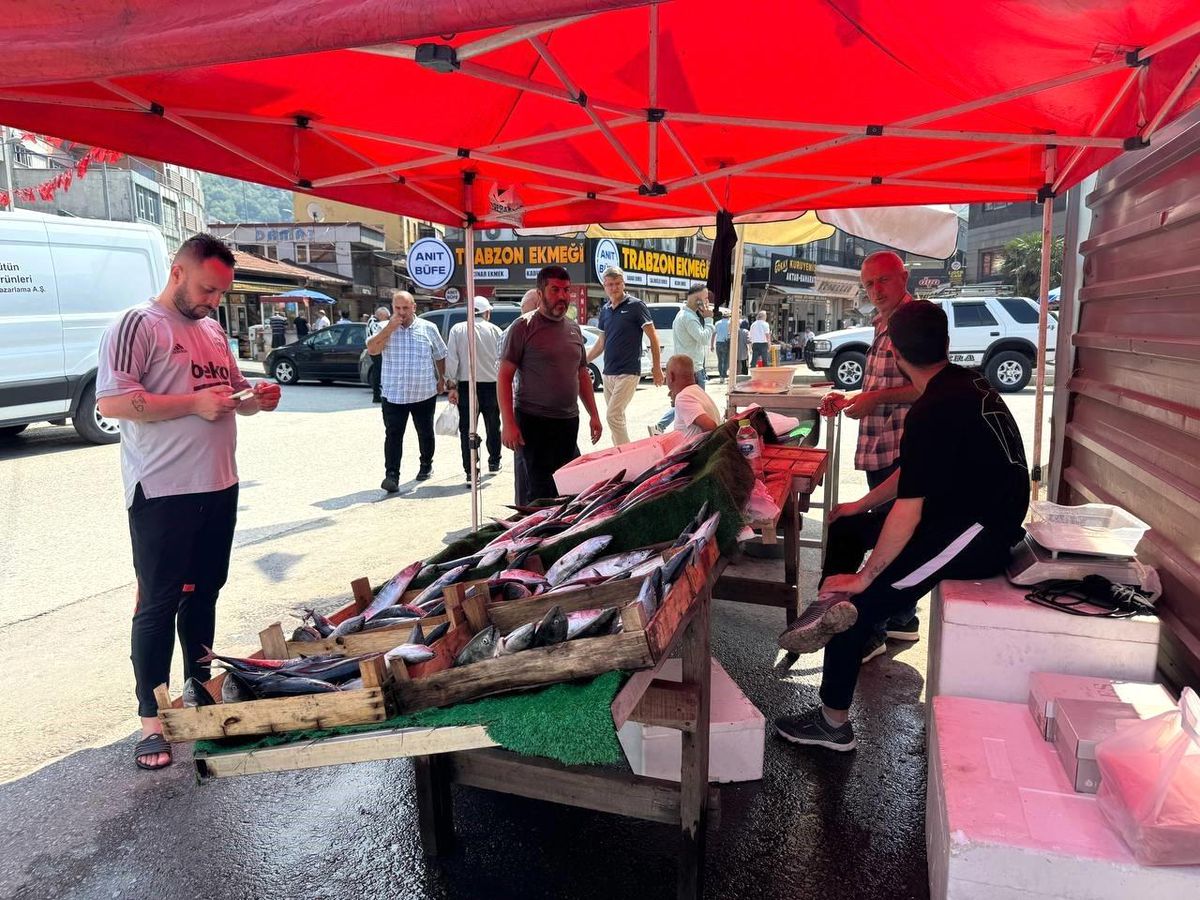 Zonguldak\'ta Palamudun Fiyatı Uygun Olunca Yoğun İlgi