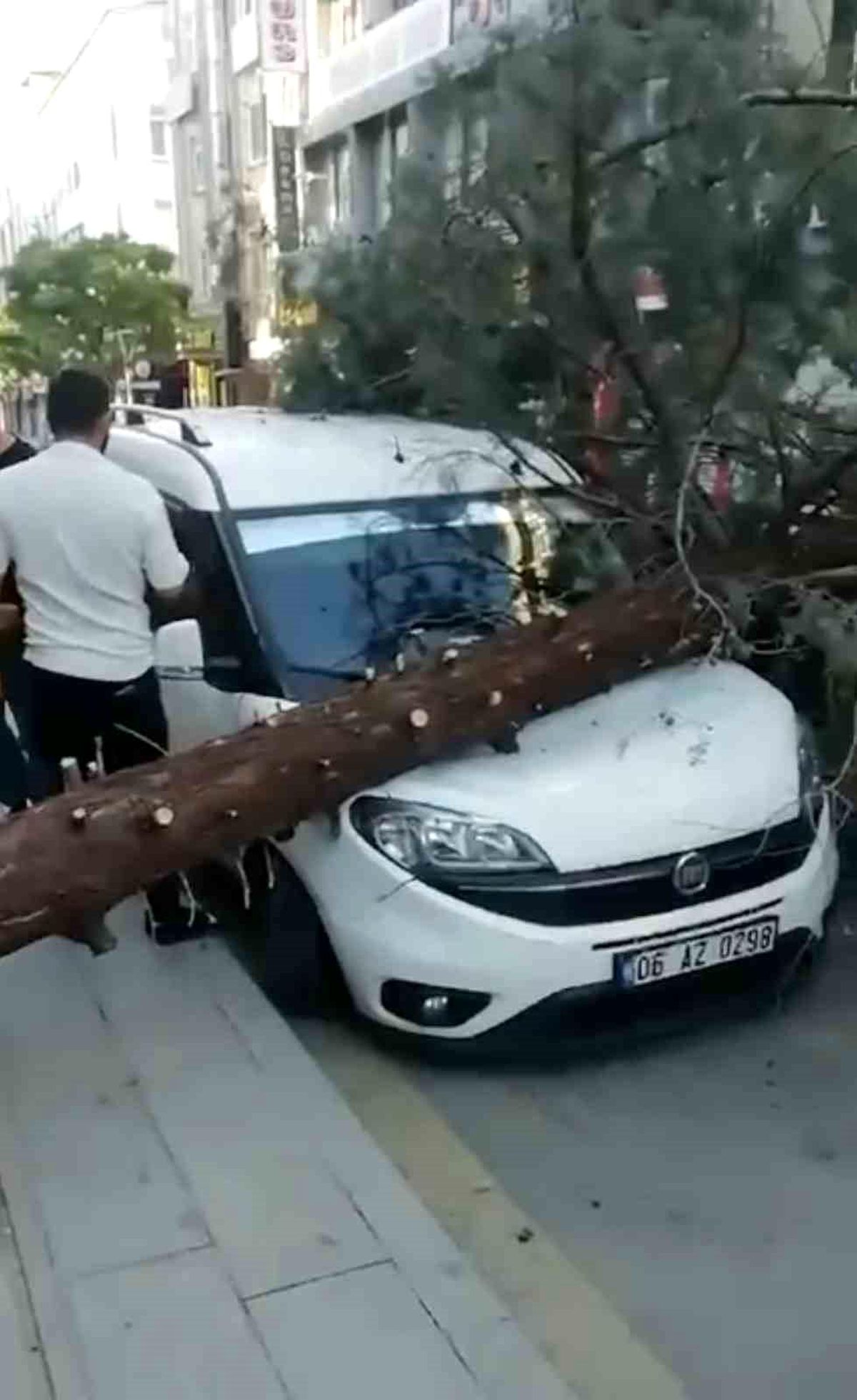 Kırıkkale\'de Kökü Çürüyen Ağaç Hafif Ticari Aracın Üzerine Devrildi