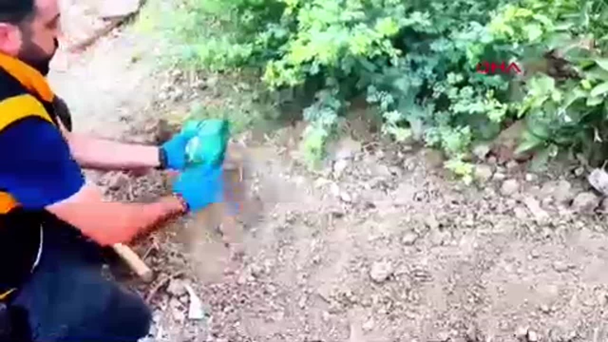 Adana\'da yapılan operasyonda 7 ruhsatsız tabanca ele geçirildi