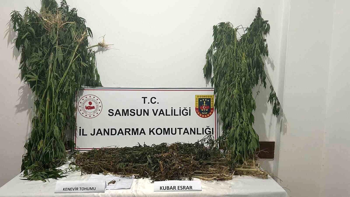 Samsun\'da 6 Kilo 550 Gram Esrar Ele Geçirildi