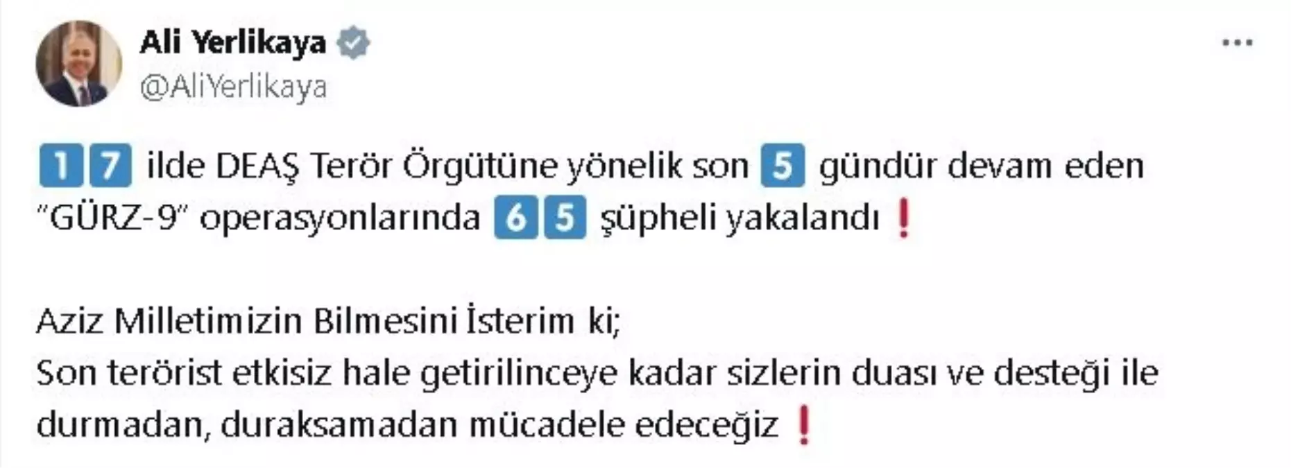 İçişleri Bakanı: \'Gürz-9\' Operasyonlarında 65 Şüpheli Yakalandı