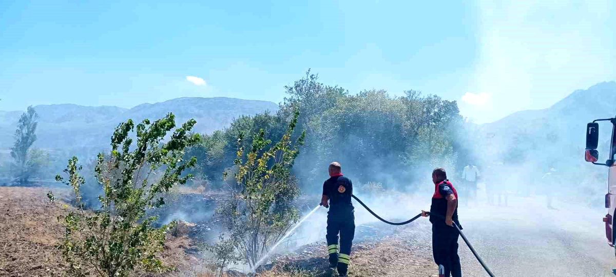 Erzincan\'da ağaçlık alanda çıkan anız yangını kontrol altına alındı