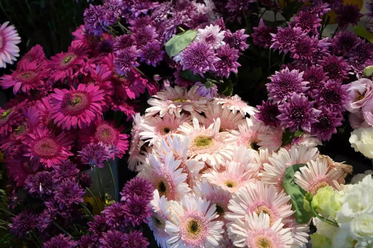 Vatandaşlar Tarafından Bu Sezon En Çok Orkide Tercih Edildi