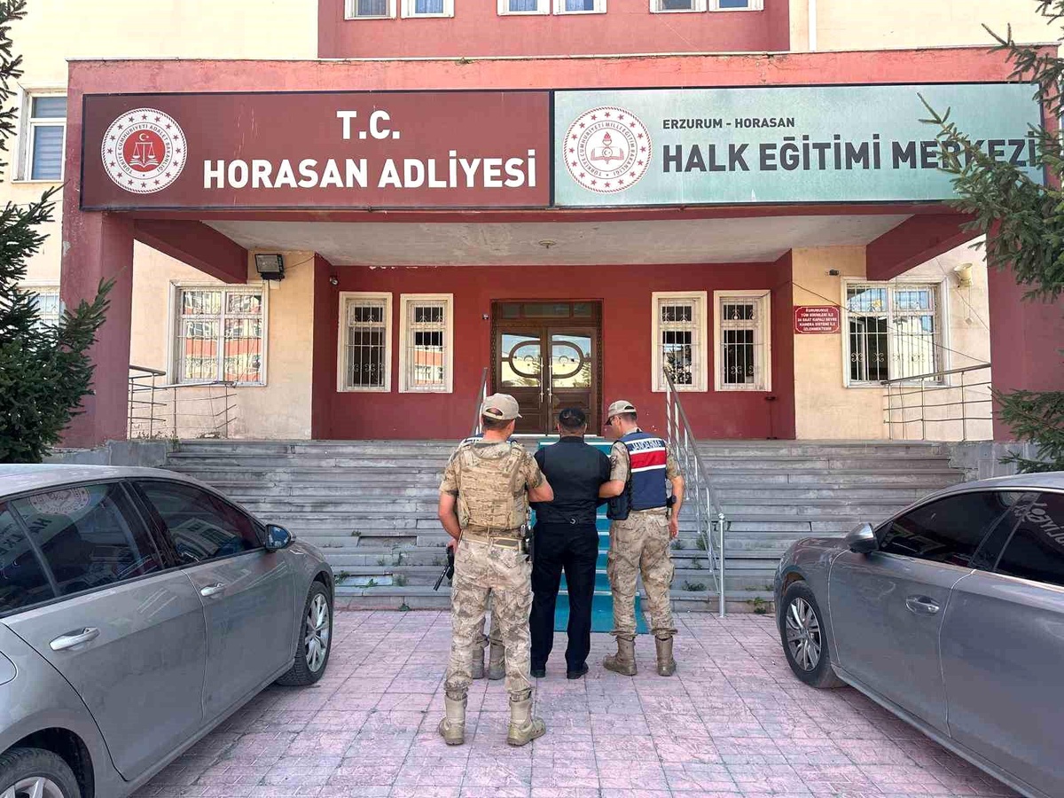 Erzurum\'da Büyükbaş Hayvan Hırsızlığı Şüphelileri Yakalandı