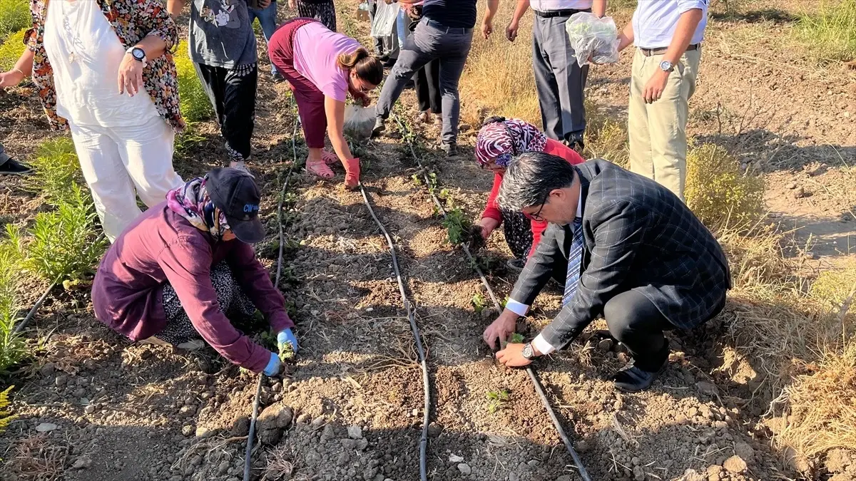 Çanakkale\'de Kadın Çiftçilerin Süs Bitkisi Yetiştiriciliği Projesi Başarıyla Tamamlandı