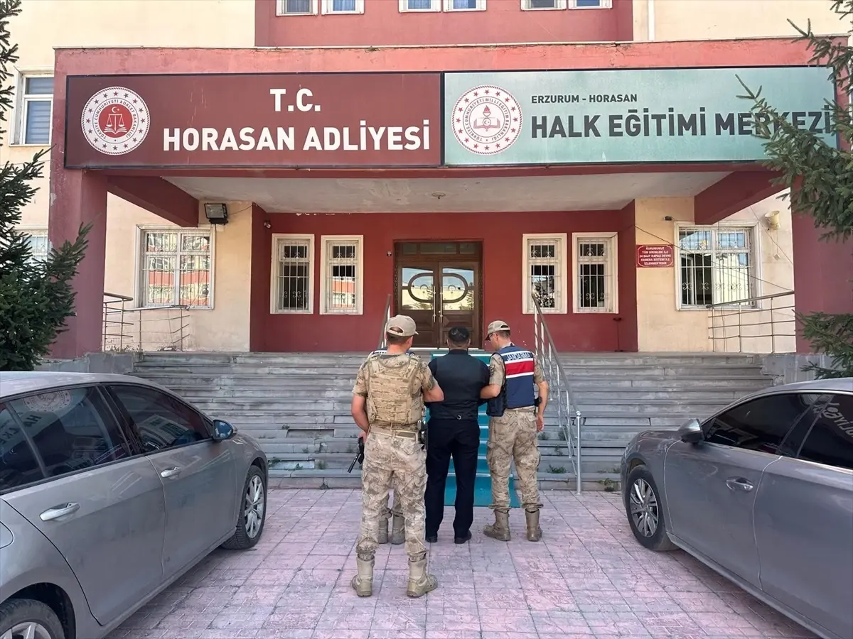 Erzurum\'da 8 Büyükbaş Hayvan Hırsızlığı: 1 Şüpheli Tutuklandı