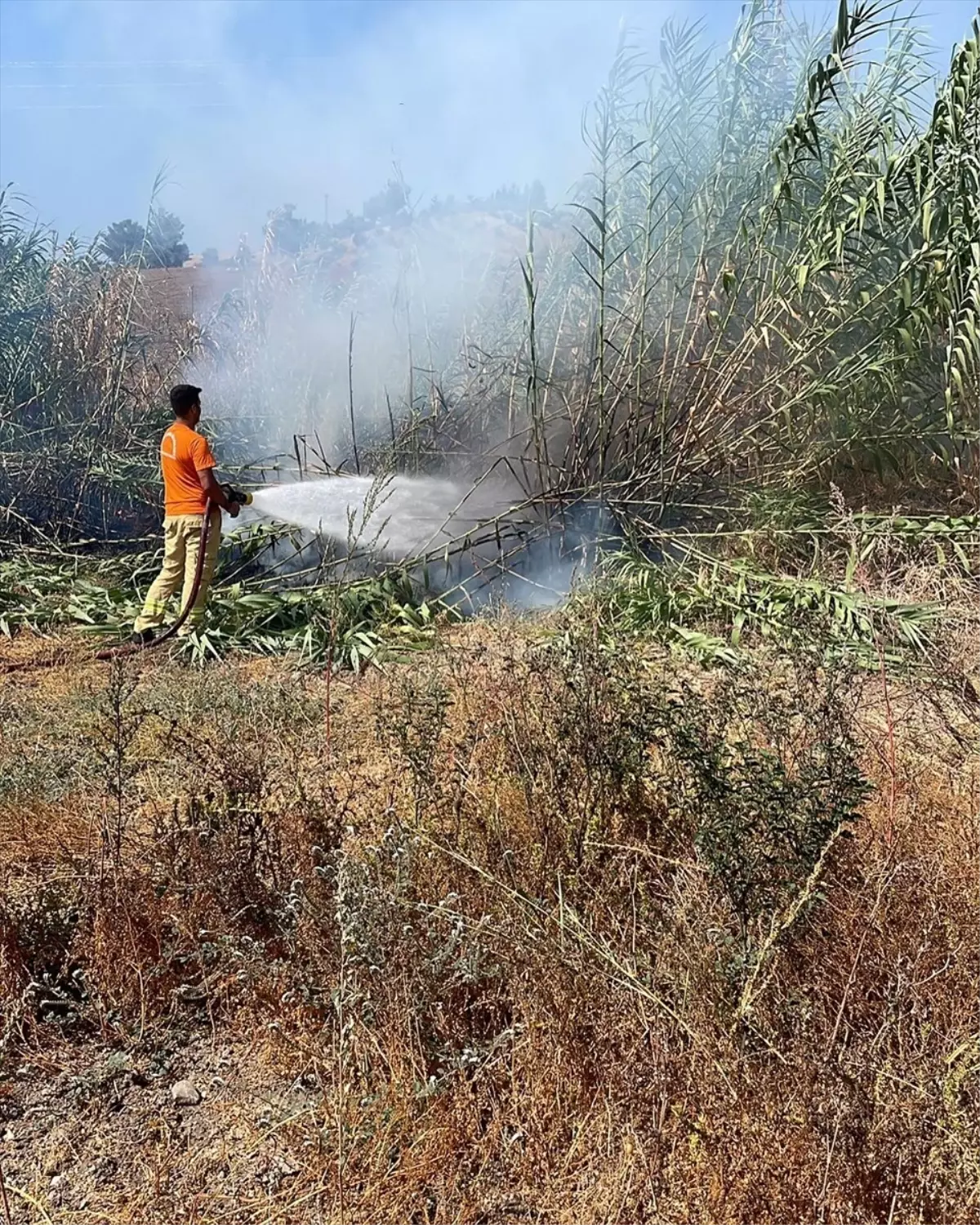 Hatay\'da İskenderun ve Arsuz ilçelerinde çıkan yangınlar söndürüldü