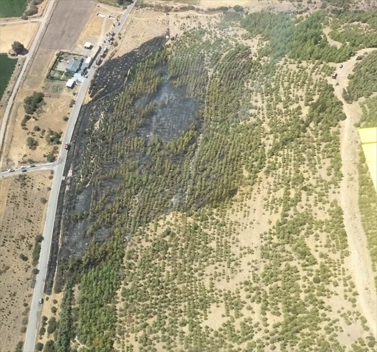 Bergama\'da çıkan orman yangını kontrol altına alındı