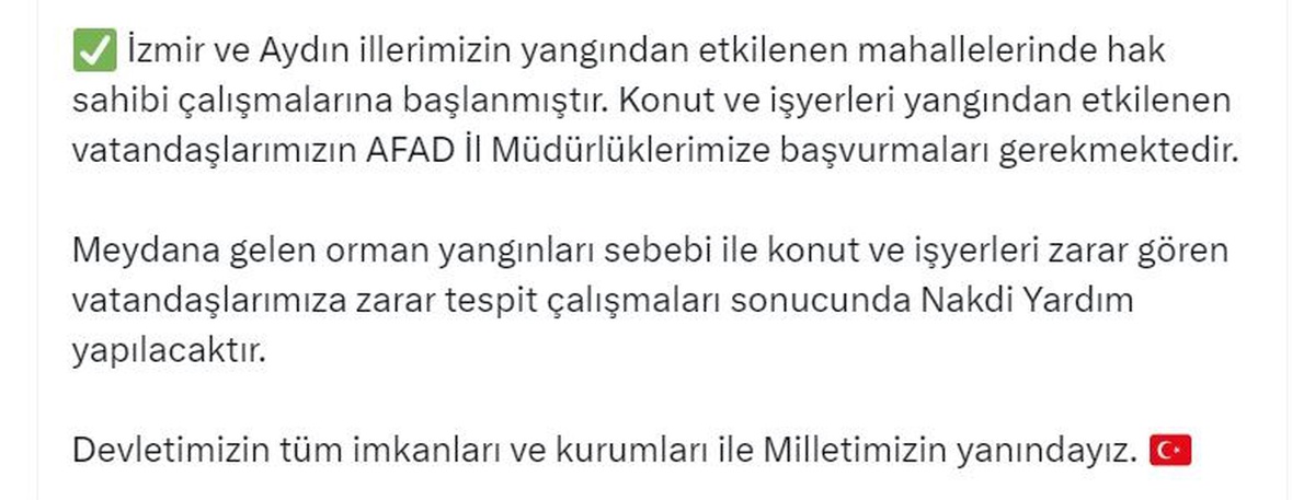 İzmir ve Aydın\'daki orman yangınlarında zarar görenlere nakdi yardım yapılacak