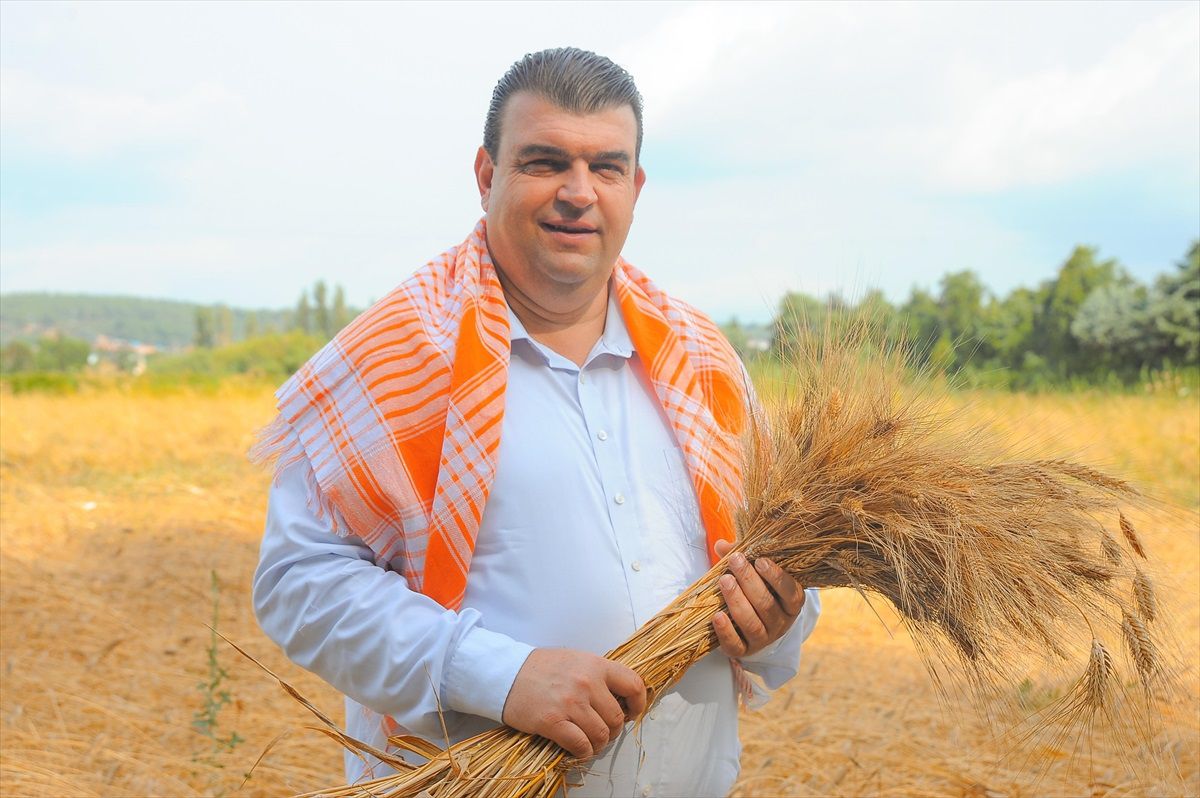 Seferihisar\'da Topan Karakılçık Buğdayı Coğrafi İşaretle Tescillendi