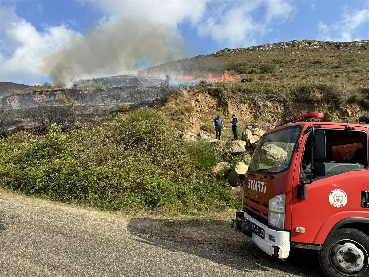 Sinop\'ta çıkan örtü yangını söndürüldü