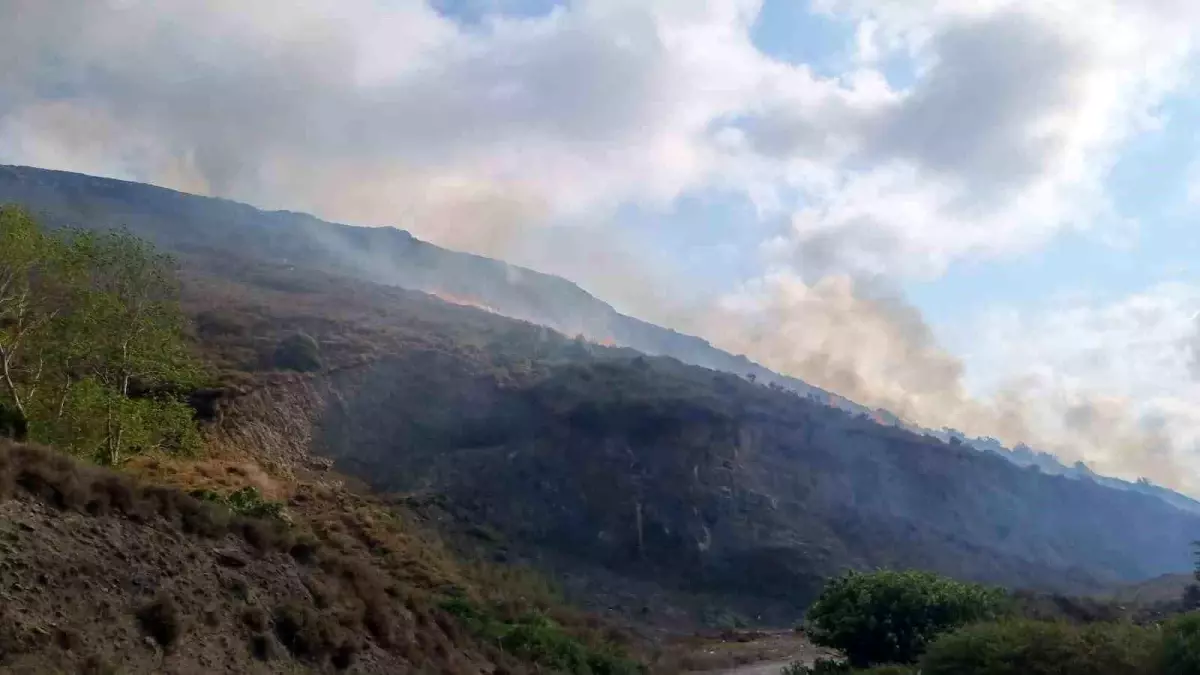 Sinop\'ta çıkan örtü yangınında 5 hektar alan zarar gördü