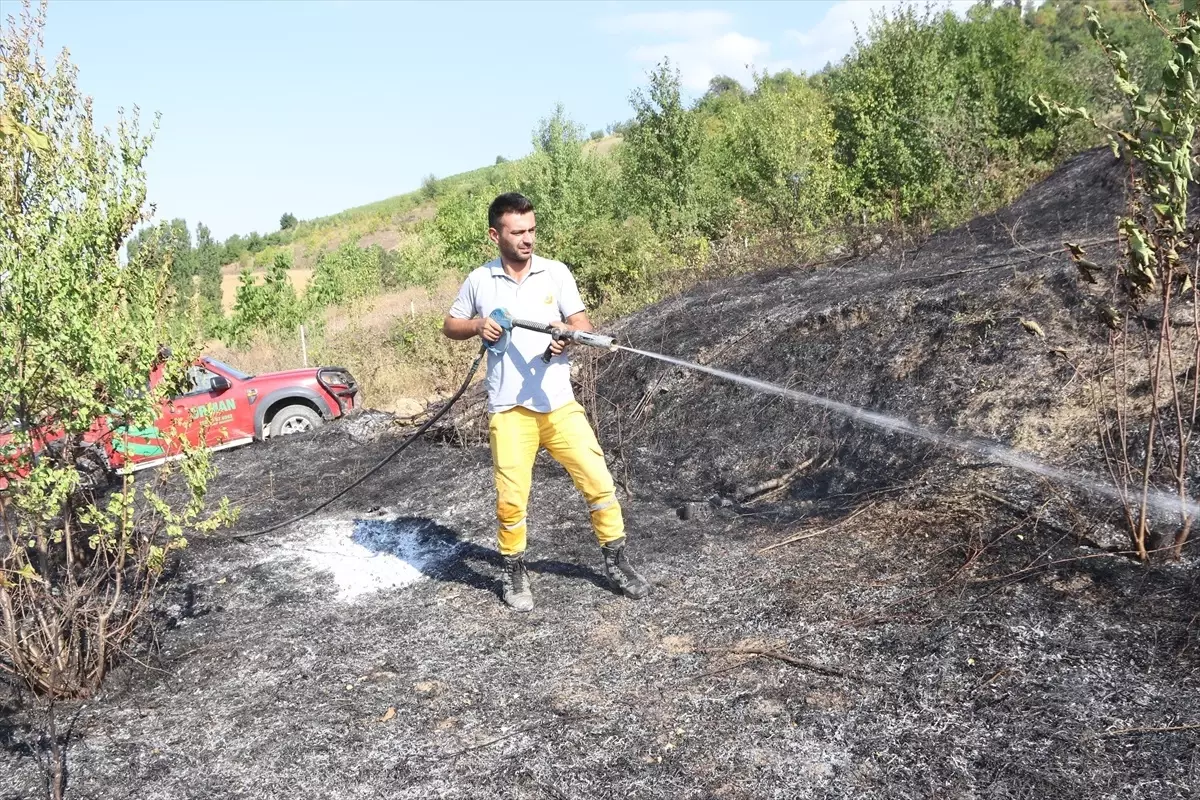 Amasya\'nın Taşova ilçesinde çıkan yangında meyve bahçeleri zarar gördü