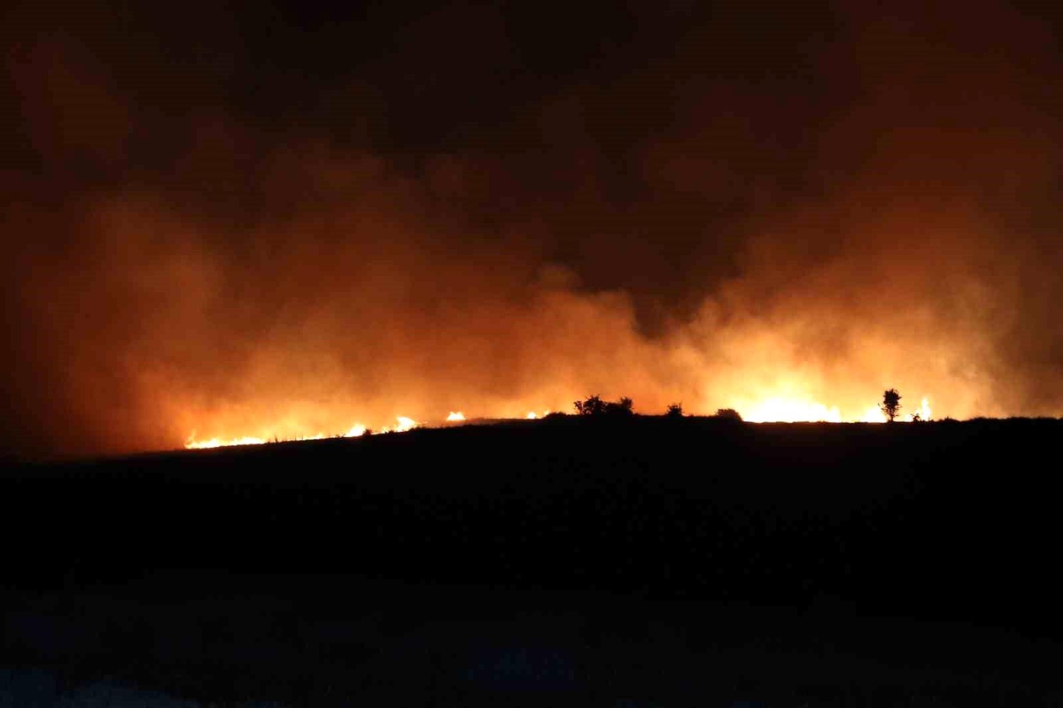 Yozgat\'ta anız yangını kontrol altına alındı