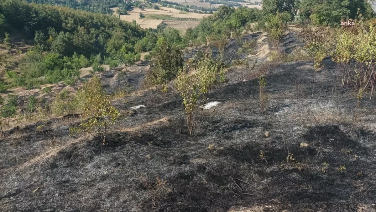 Amasya\'nın Taşova ilçesinde meyve bahçeleri yangında zarar gördü